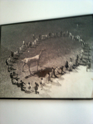 Cheval de Basaglia