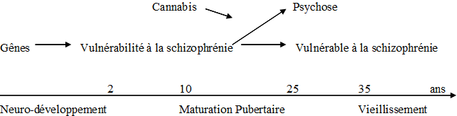 schema